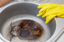 grease in kitchen sink drain