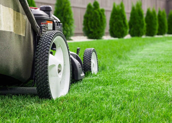 Essential Outdoor and Lawn Maintenance Tips