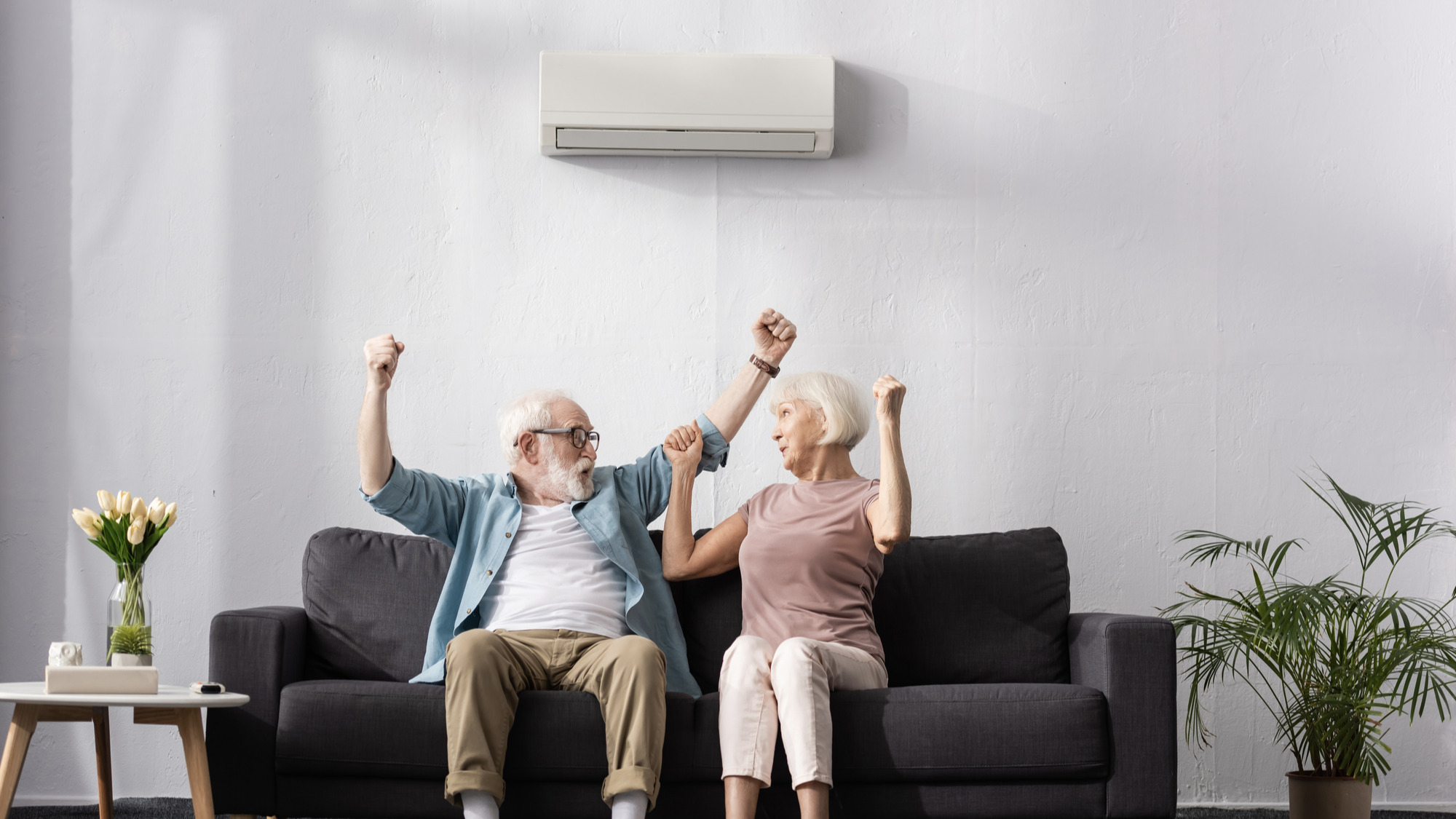 Excited elderly couple in front of their air conditioning system