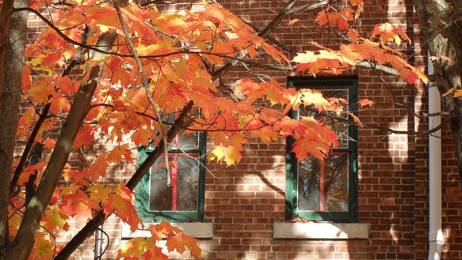 Fall Heating Tips