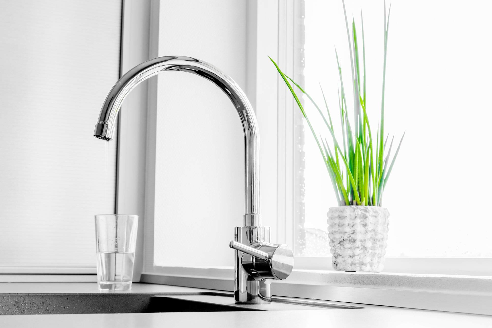 Faucet with a green plant