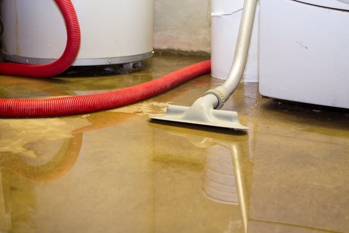 How to Get Rid of Basement Odor