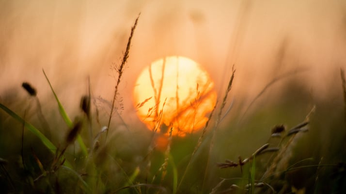 How to Stay Cool During a Heat Wave