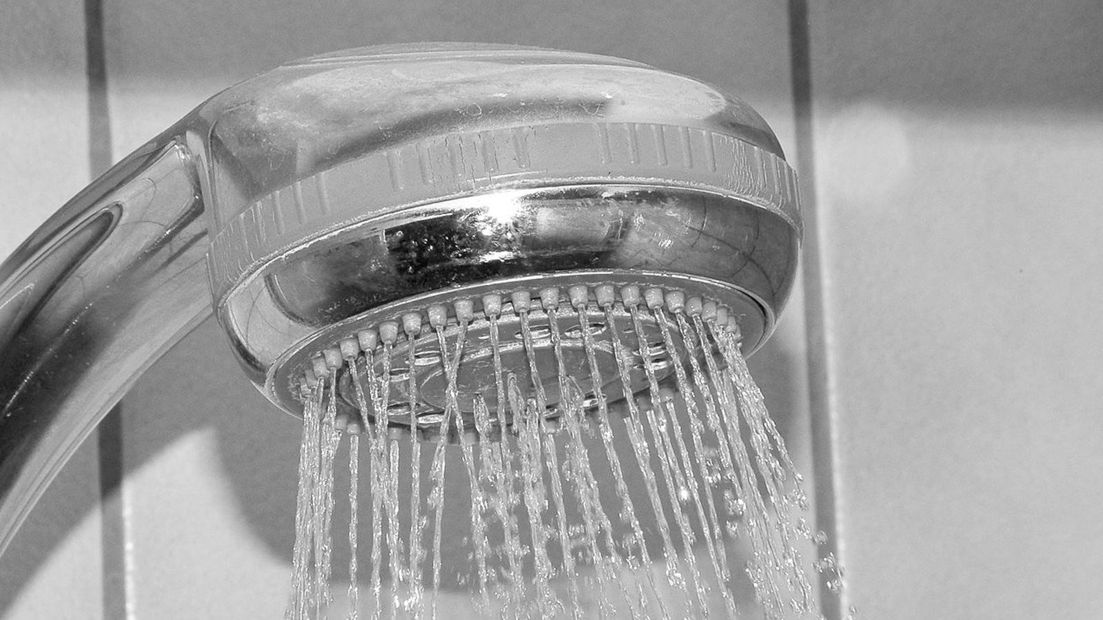 Shower Head Cleaning