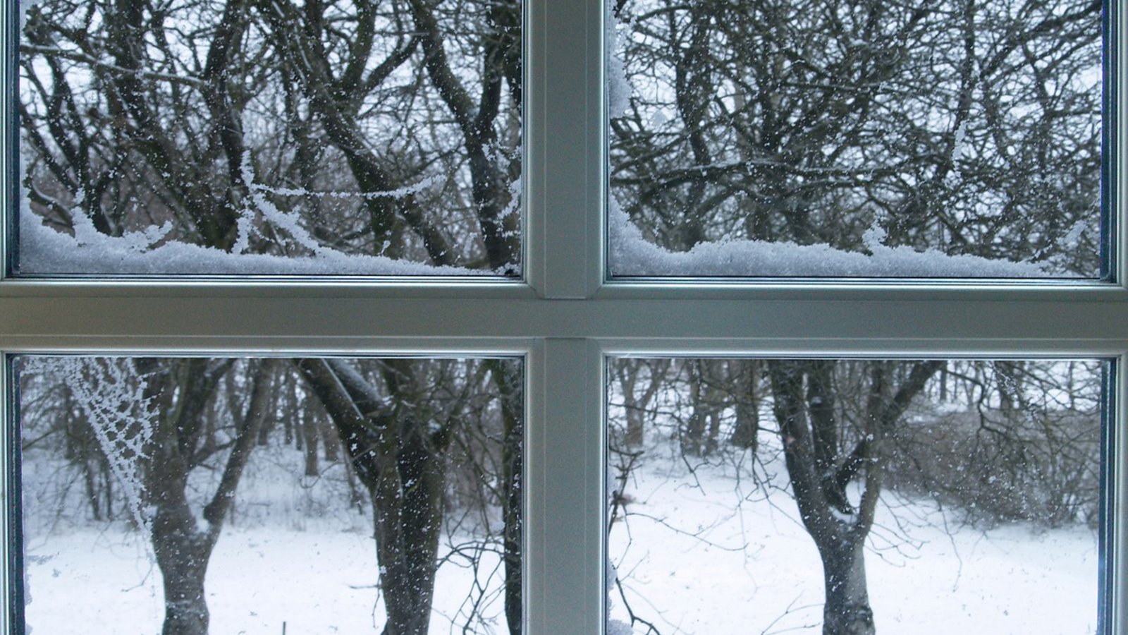 Snow Window