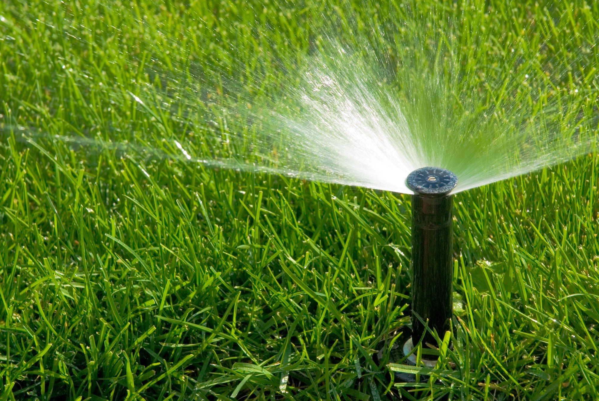 Sprinkler of automatic watering