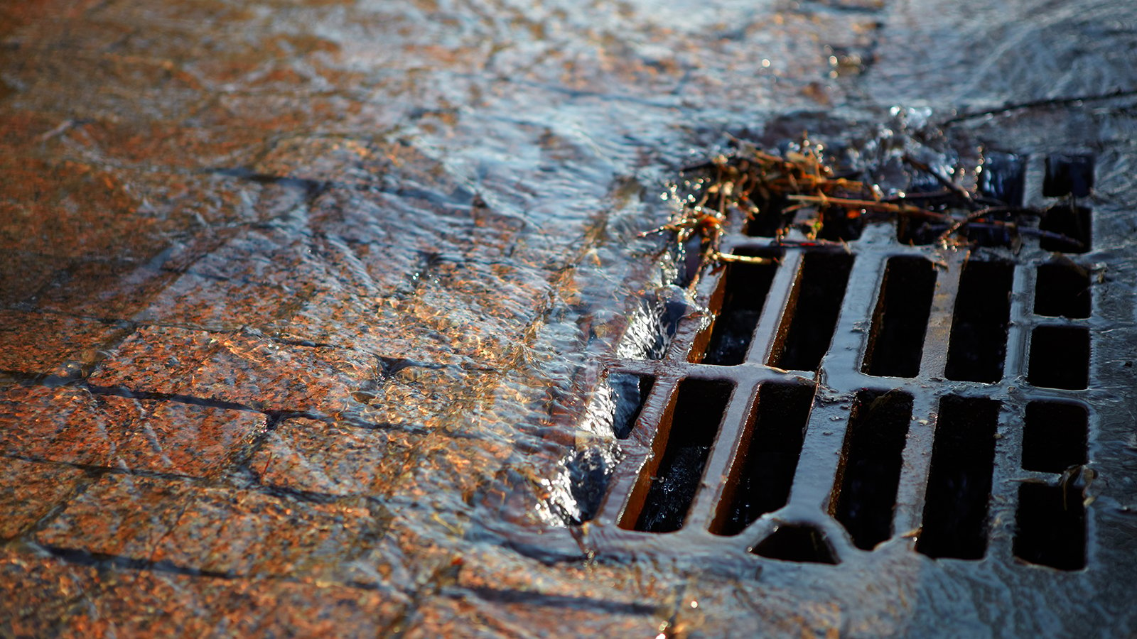 Water flows into the hatch on a spring day