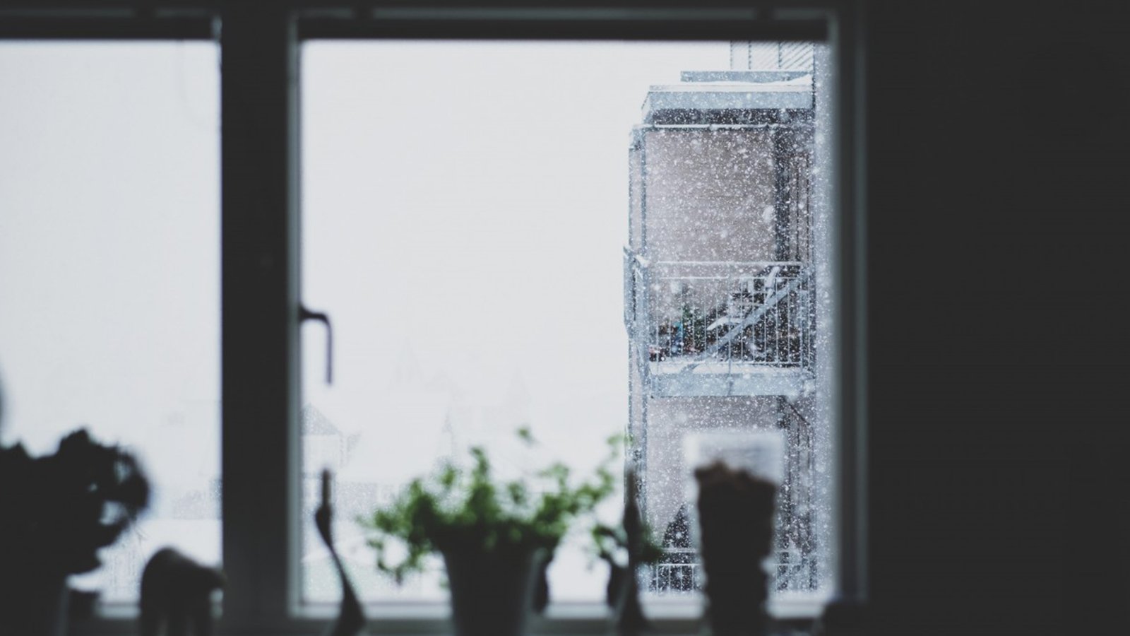 Window Snow