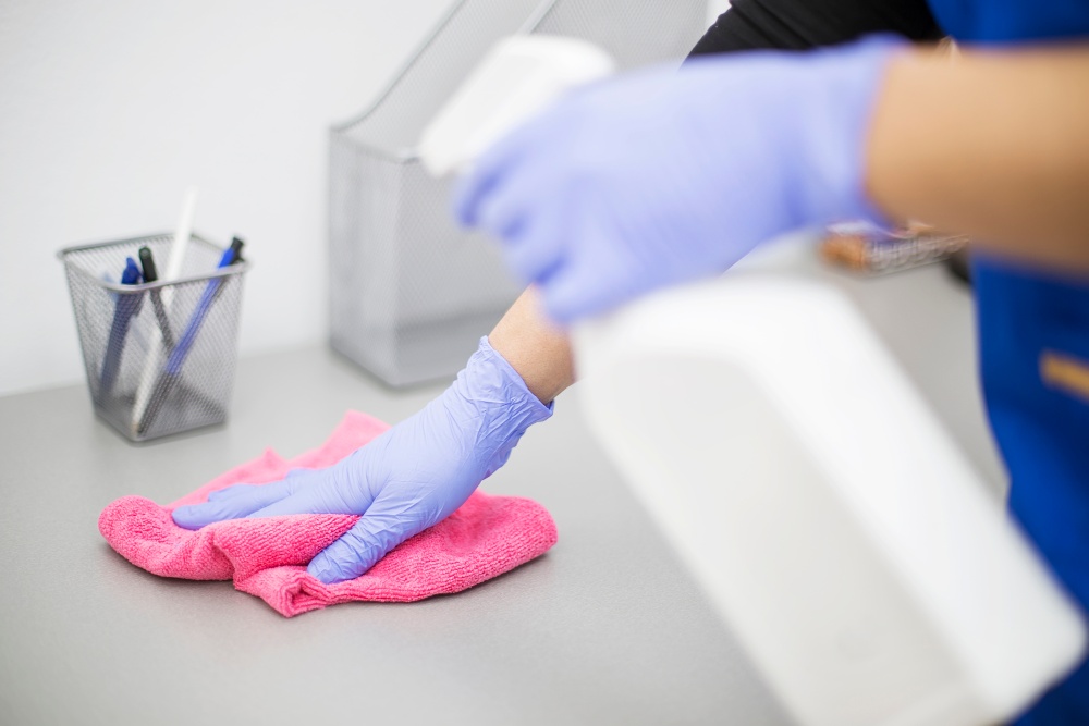 Woman Cleaning Apartment and Business